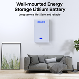 48V 100AH Wall Mounted Battery