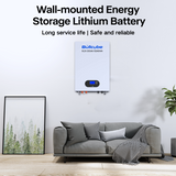 48V 200AH Wall Mounted Battery