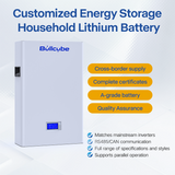 48V 100AH Wall Mounted Battery